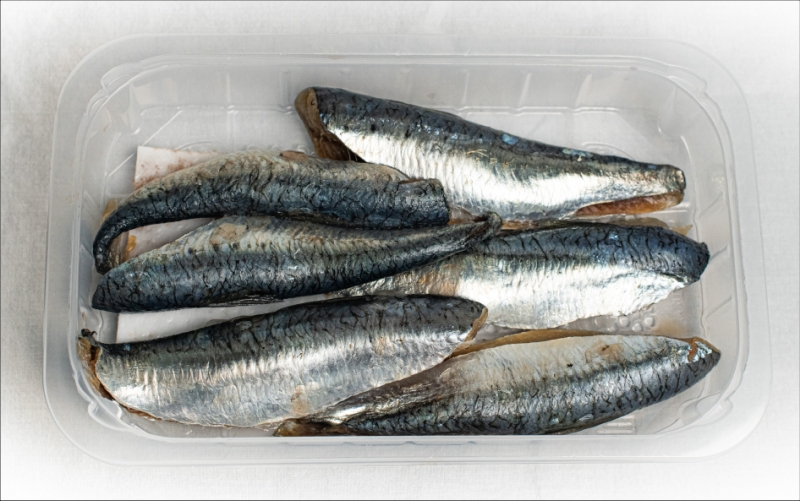 Filet sardine